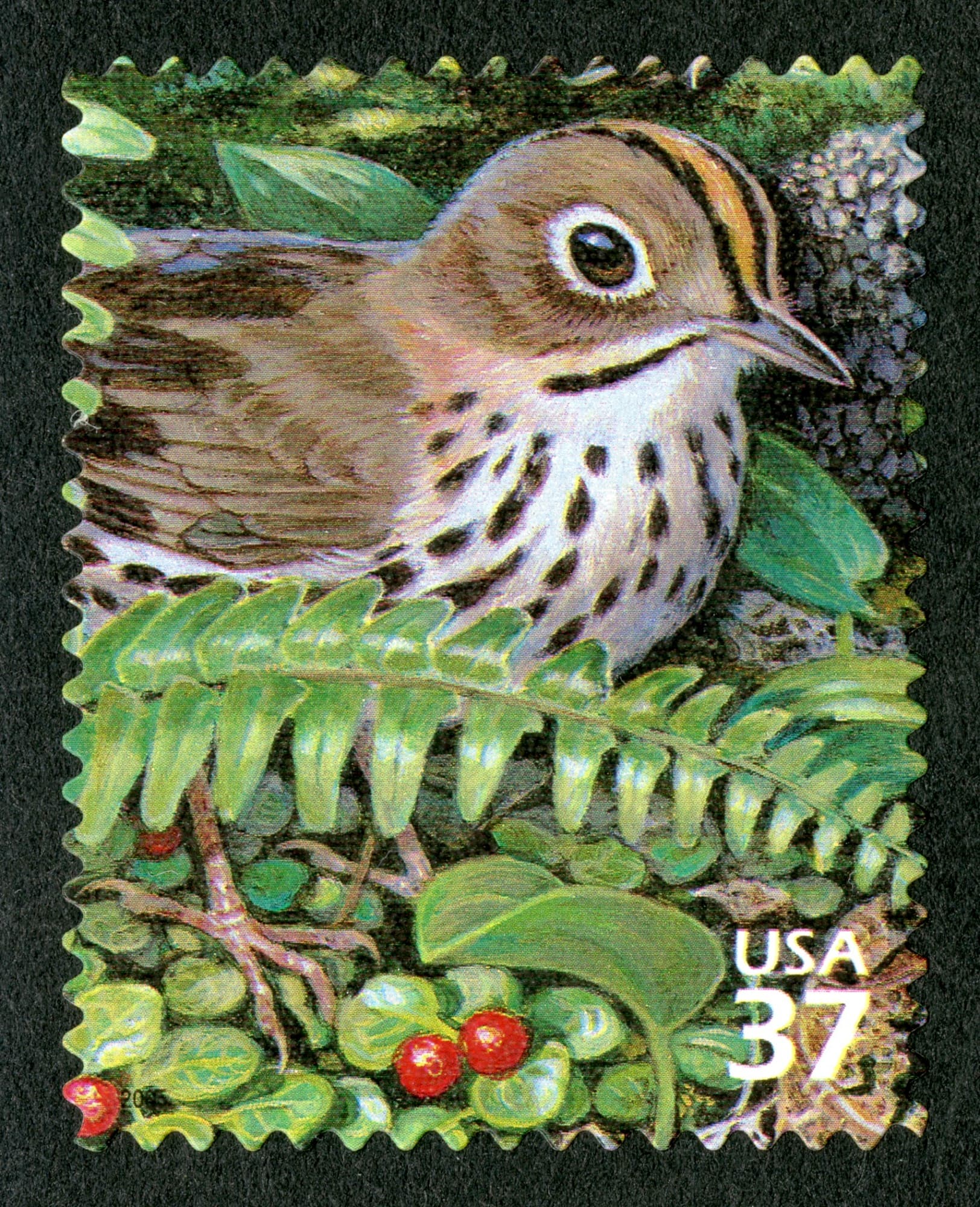 postage stamp showing a brown bird with white chest and black dots and striping standing among ferns, leaves, and red berries. Text reads: "USA 37"